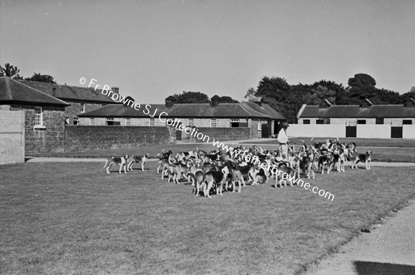 AT JIGGINSTOWN KENNELS